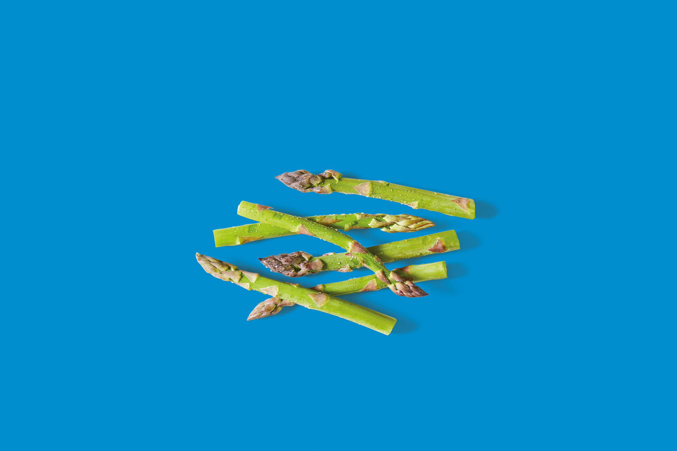 Fresh green asparagus spears with water droplets, arranged on a blue background.