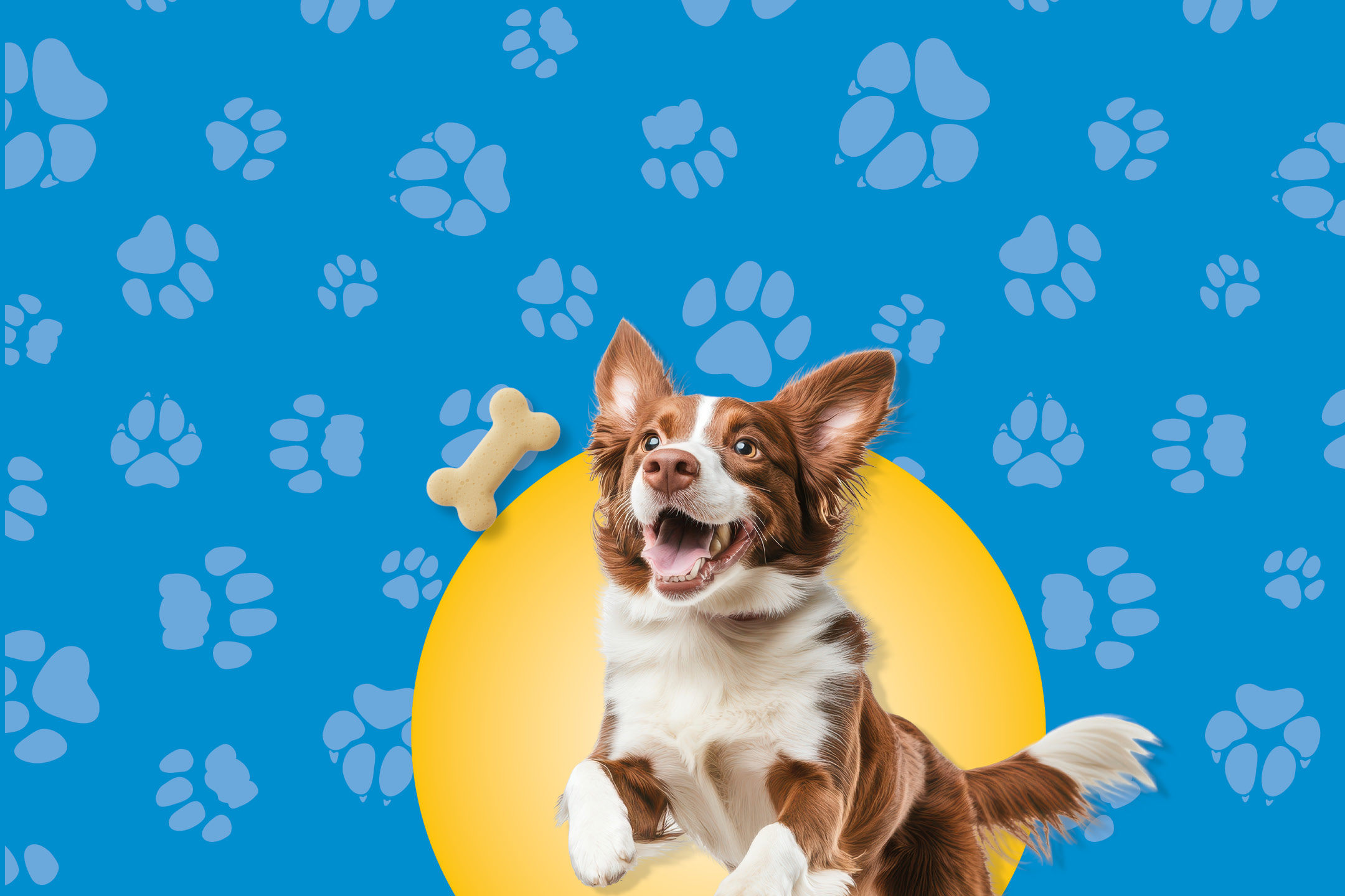 Happy brown and white dog jumping for a bone-shaped treat on a blue paw print background.