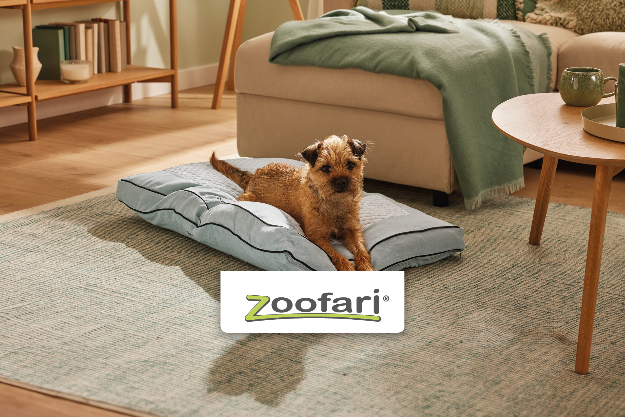 A small dog rests on a light blue pet bed on a rug in a living room, with a sofa and wooden furniture.
