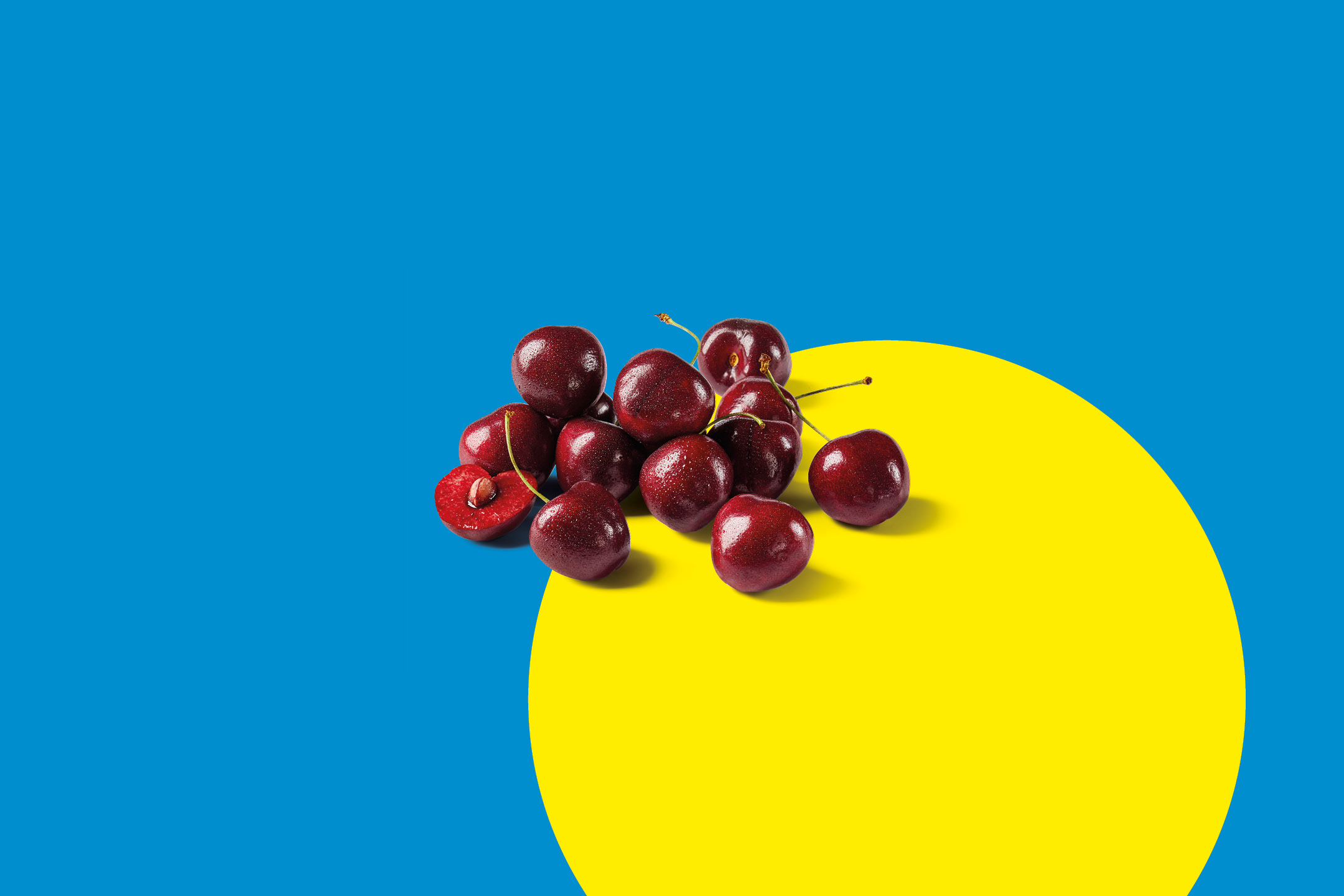 Fresh red cherries on a blue and yellow background.