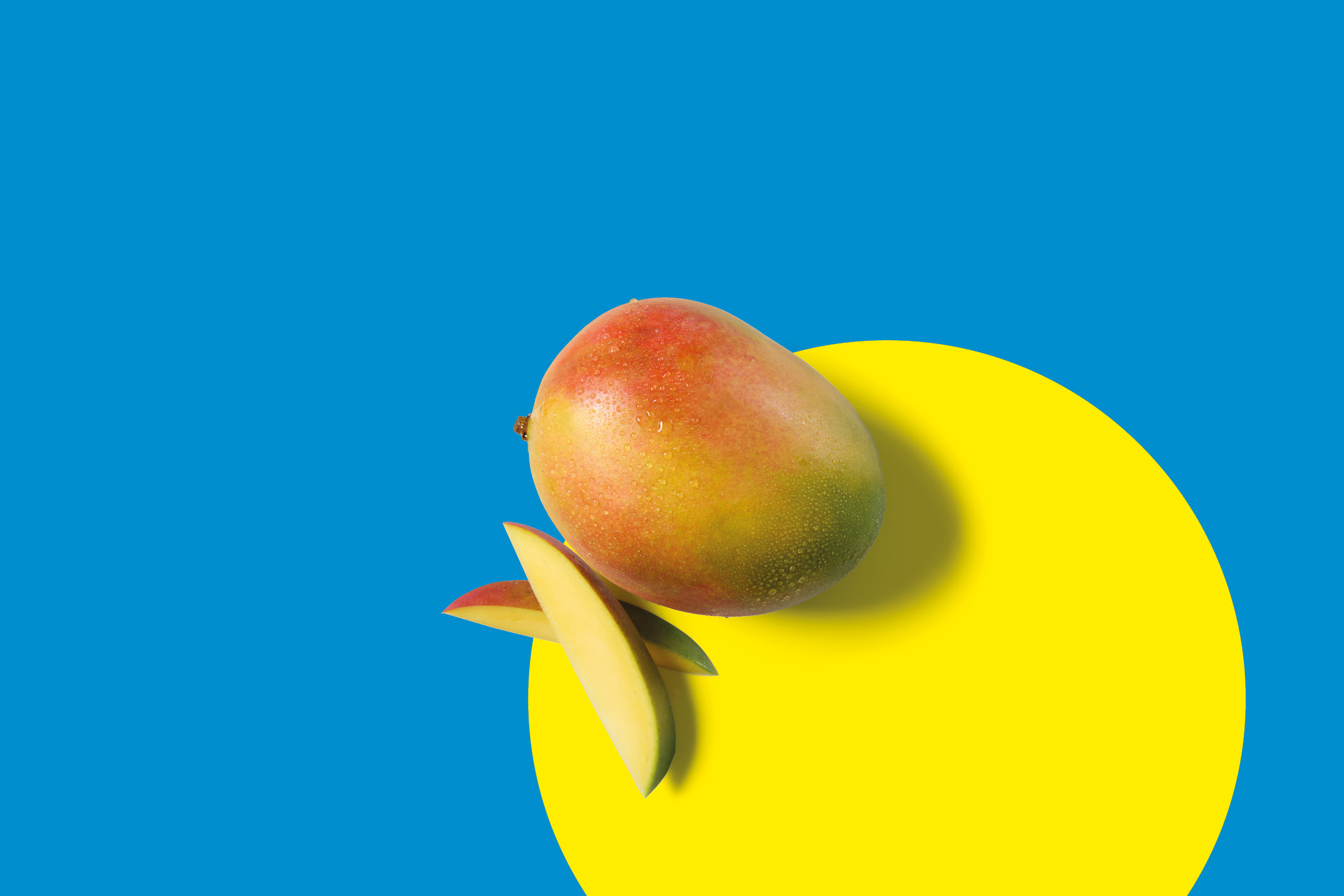 Fresh mango and mango slices on a blue and yellow background.
