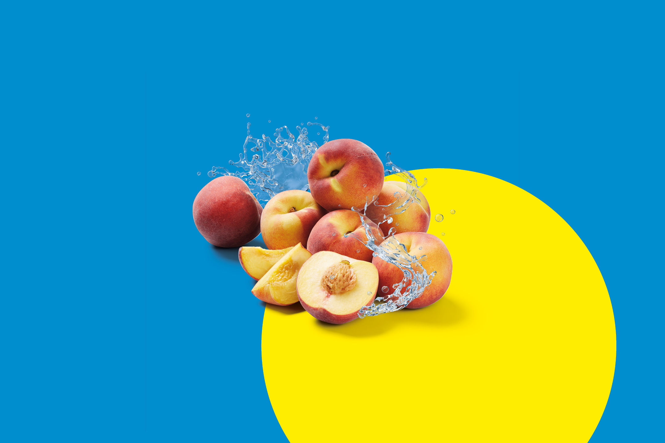 Fresh peaches with water splashes on a blue and yellow background.