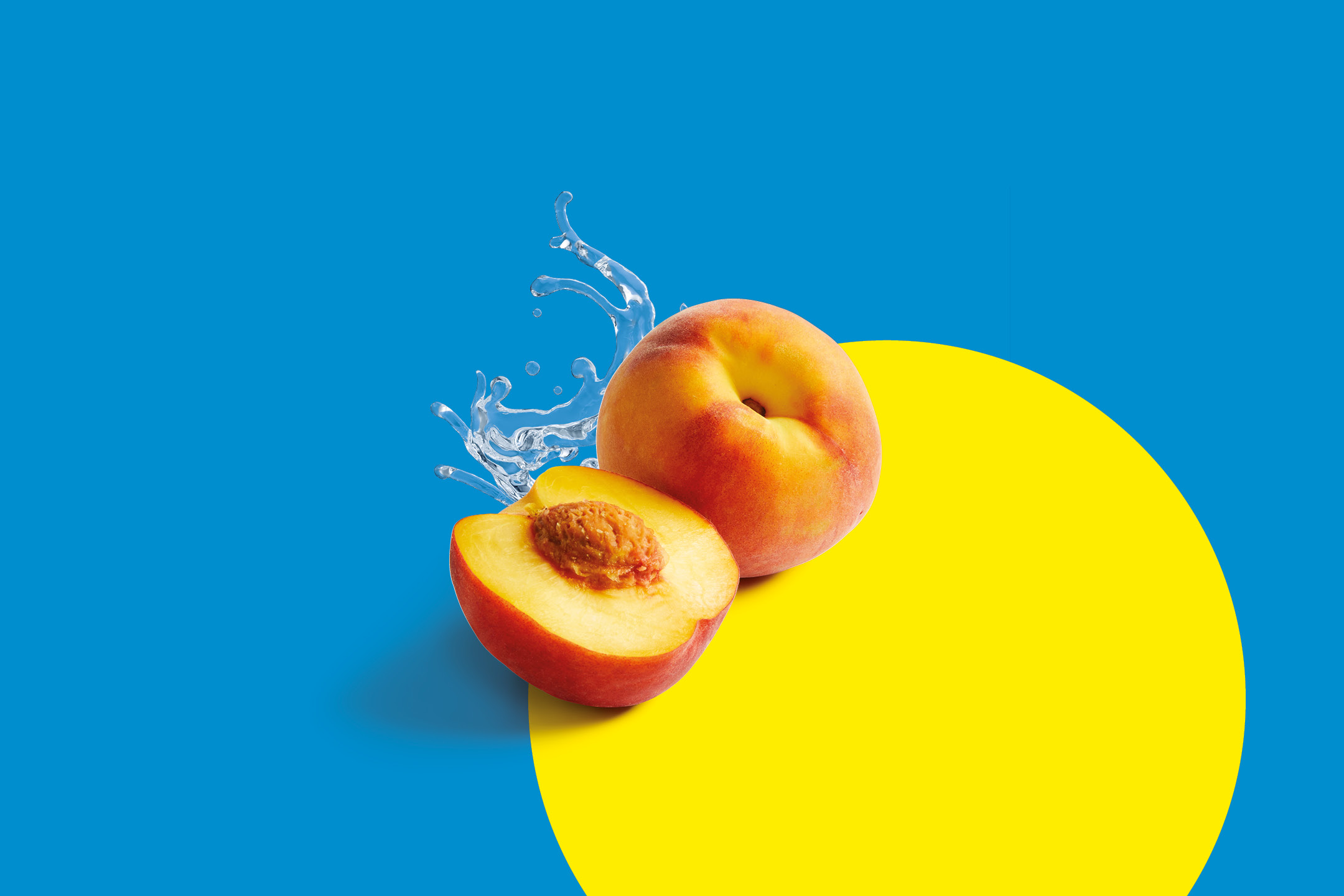 Fresh peaches with water splashes on a blue and yellow background.