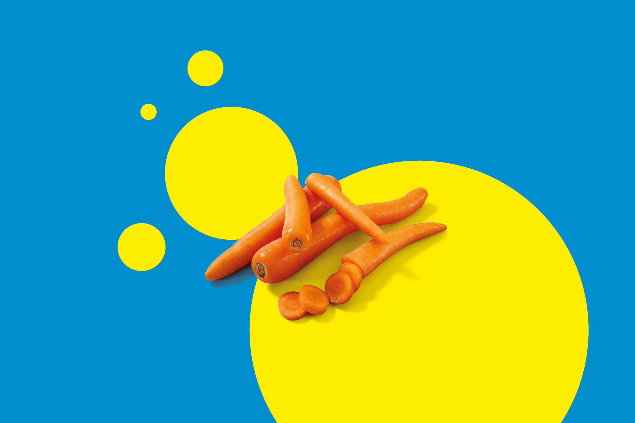 Fresh carrots, whole and sliced, on a blue background with yellow circles.