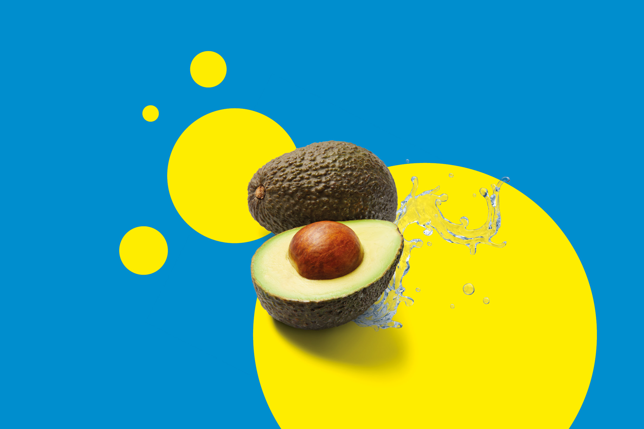 Fresh avocados with water splashes on a blue and yellow background.