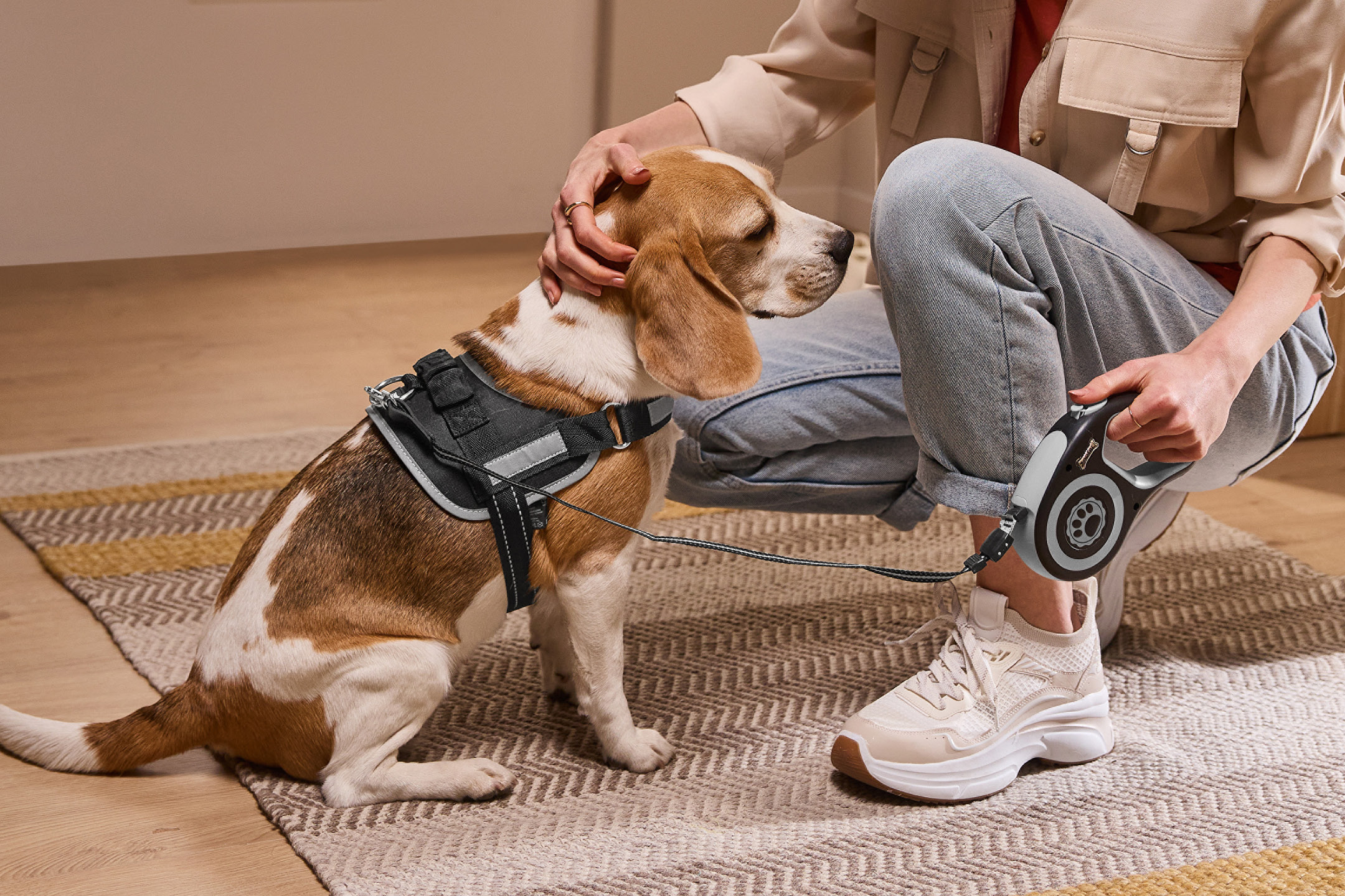 A person petting a beagle wearing a dog harness, holding a retractable dog leash.