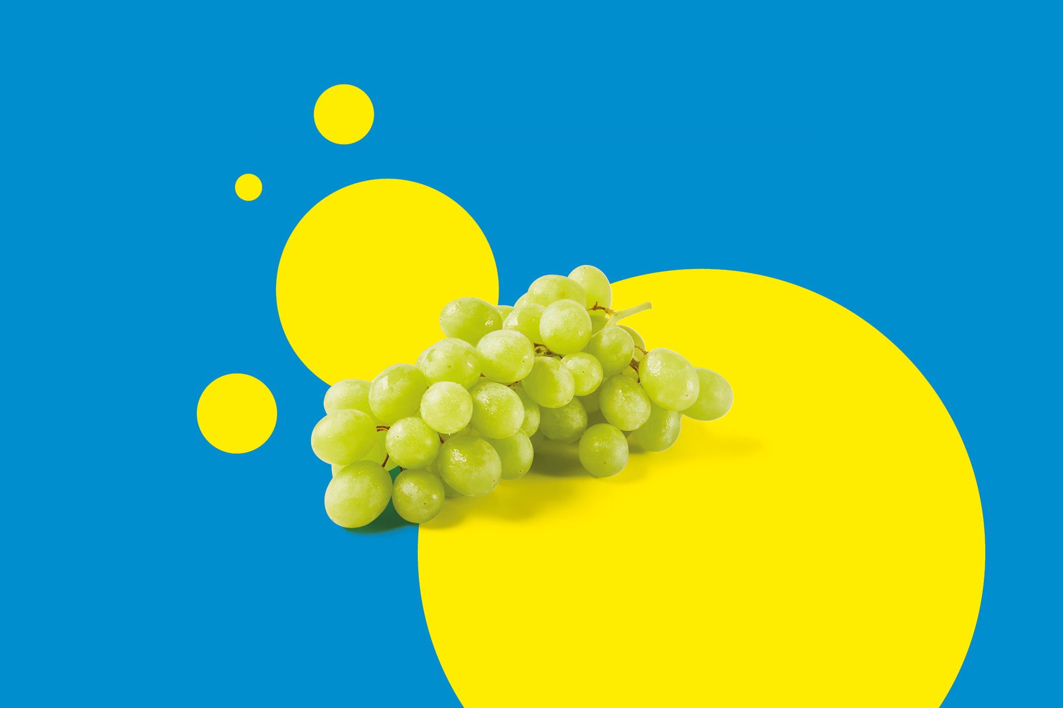A bunch of fresh green grapes against a blue background with yellow circles.