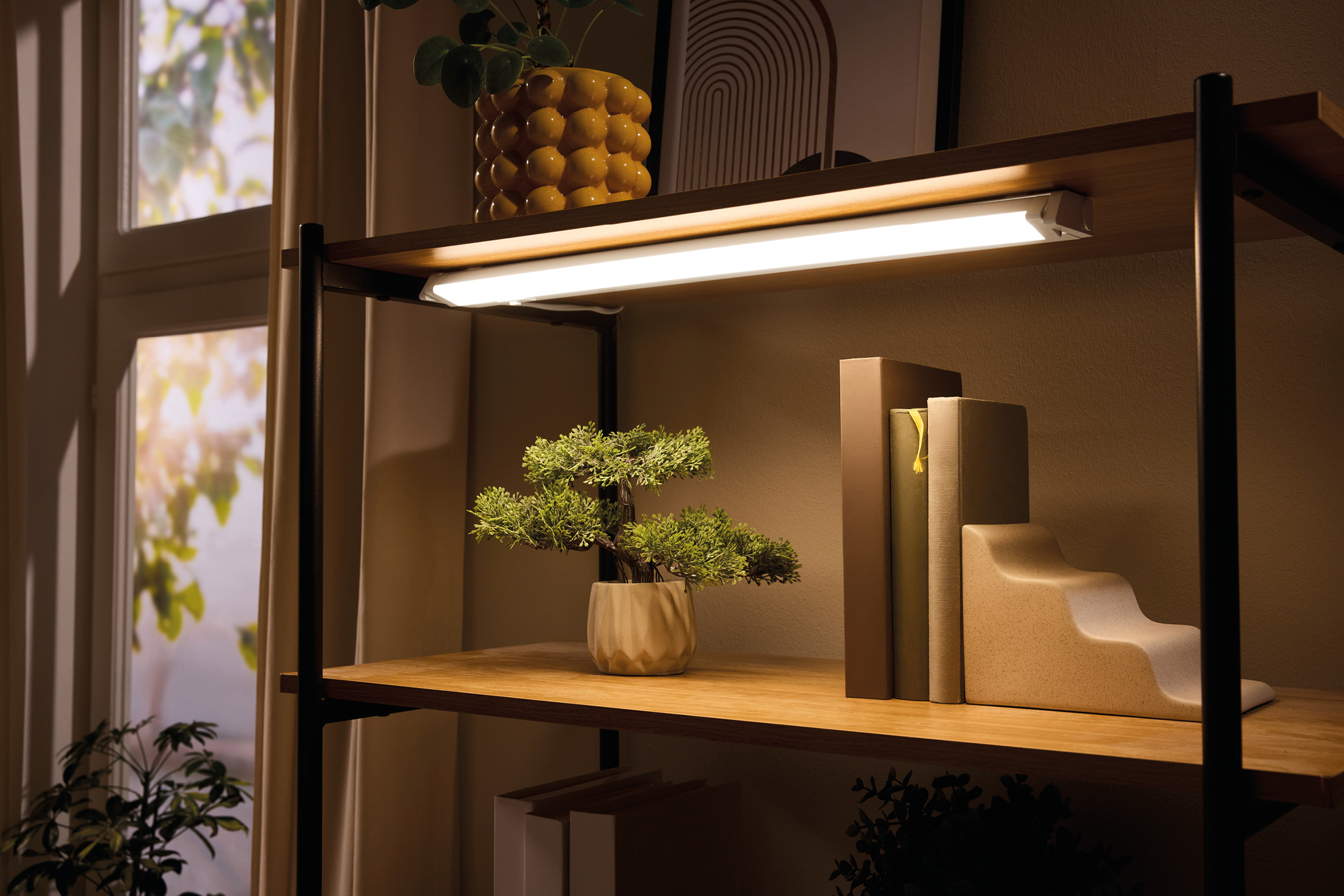 A bookshelf with a bright LED light strip, a small bonsai tree, and decorative books.