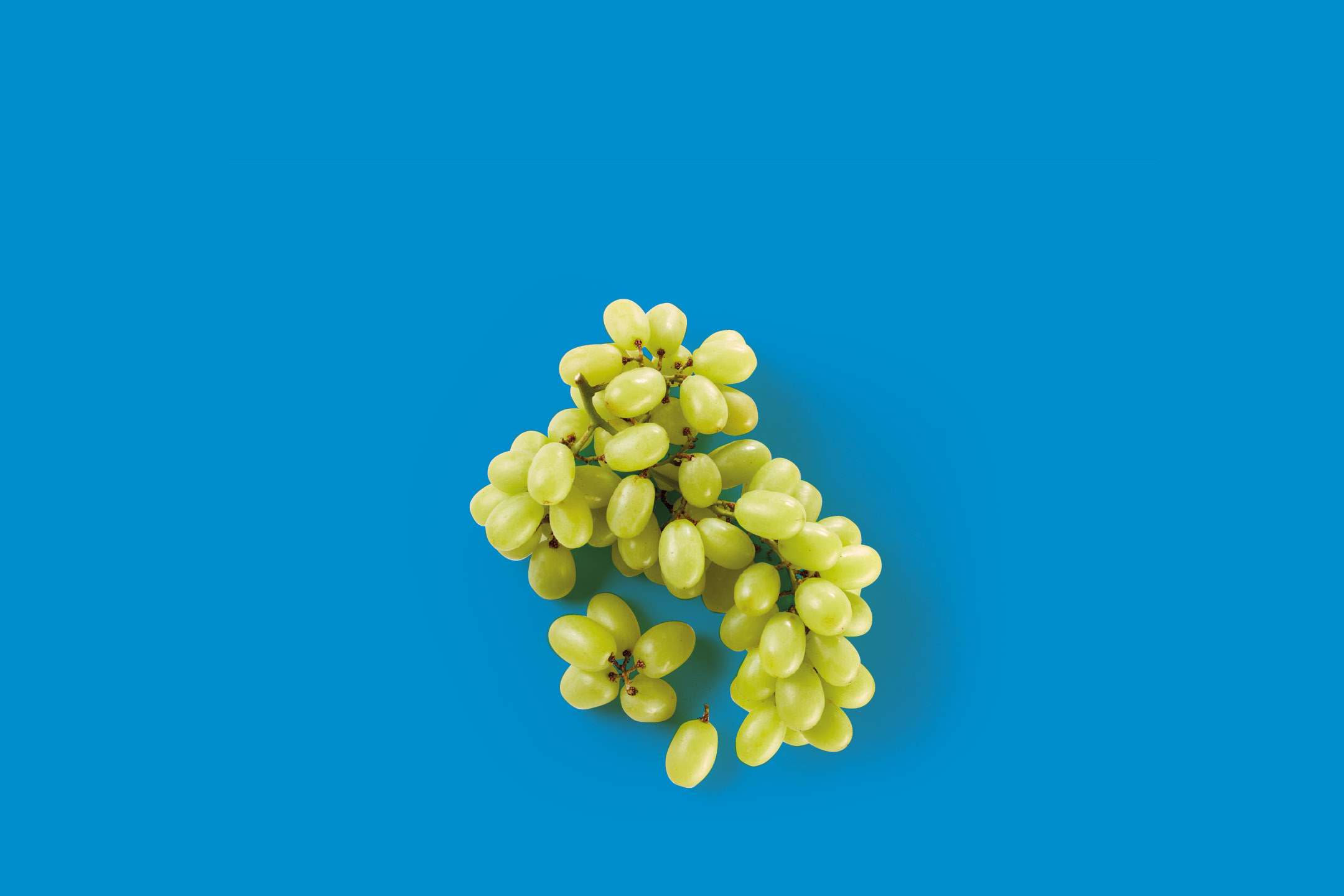 Fresh green grapes on a vibrant blue background.