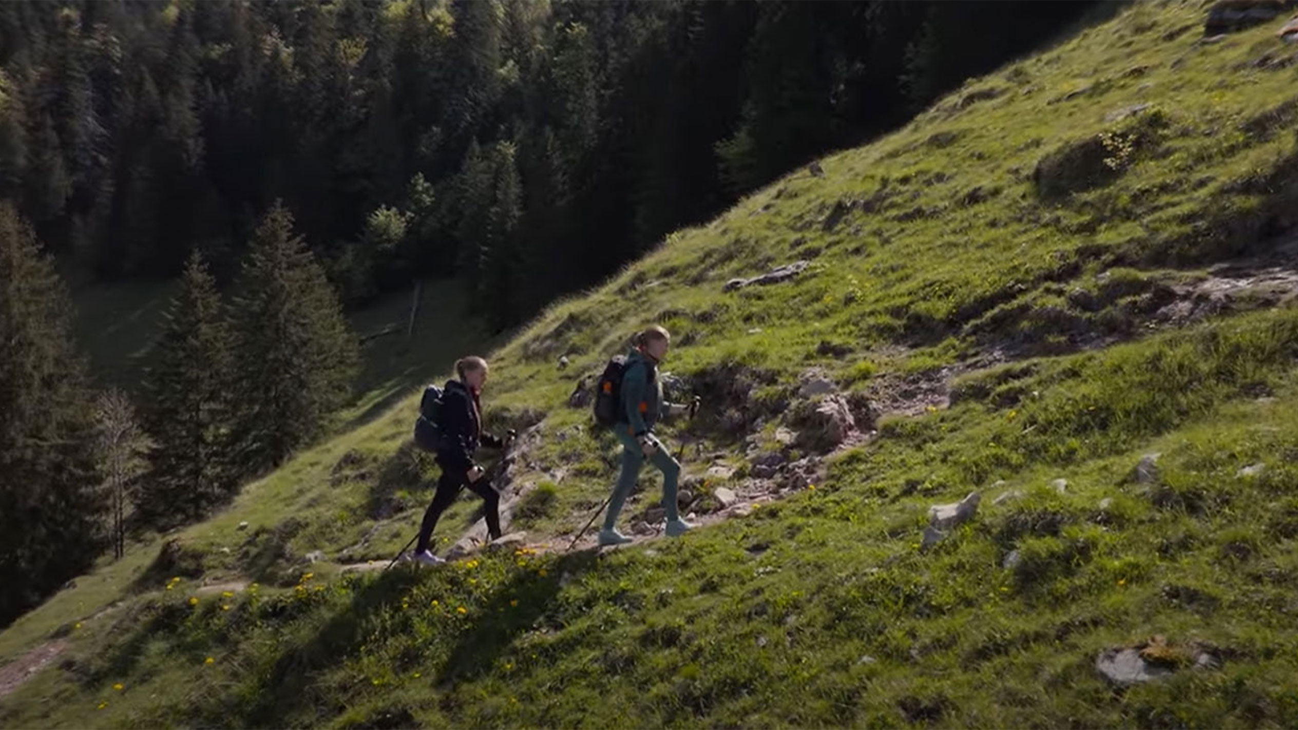 Two hikers with backpacks ascend a mountain trail.