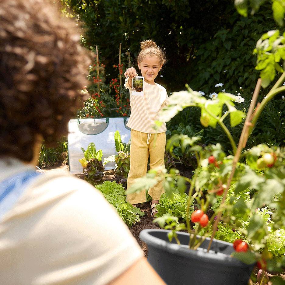 Child in a garden holding a photo, with fresh produce and a tomato plant in the foreground.