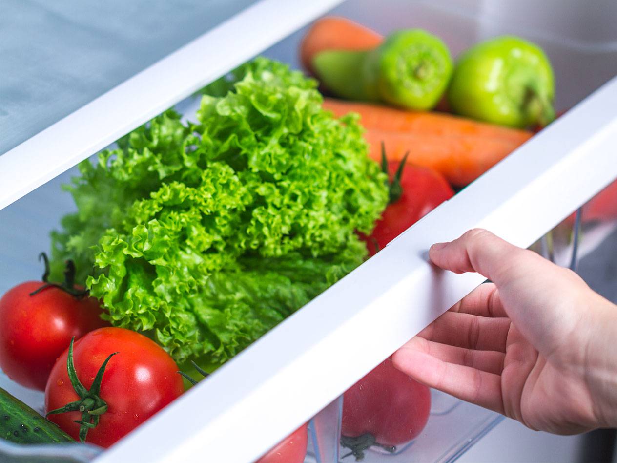 Lettuce, tomatoes, and carrots in the refrigerator.